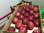 Яблоко закупка - фото 1
