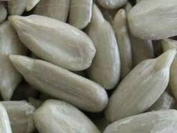 Ядро подсолнечника. высши сорт, первый сорт.