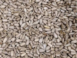 Ядро подсолнечника/соняшника высший сорт