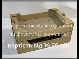 Ягодный лоток . Купить ягодный лоток