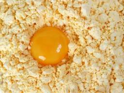 Яичный порошок