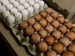 Яйце фермерське