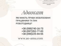 Які мають права мобілізовані працівники та їхні роботодавці