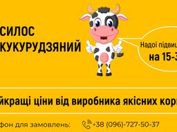 Якісний кукурудзяний силос в бегах від виробника Рівненська обл
