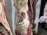 Яловича продукція потрох заморозка . Язик печінка легені серце хвіст Калтик нирки хвіст - фото 1