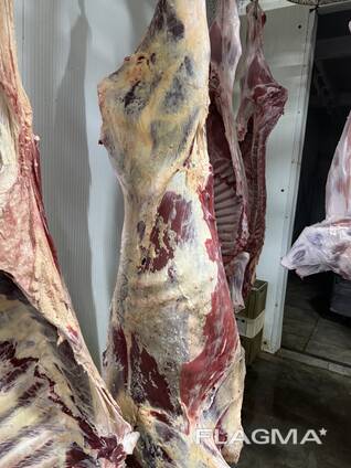 Яловича продукція потрох заморозка . Язик печінка легені серце хвіст Калтик нирки хвіст