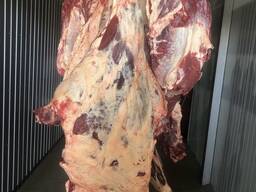 Яловичина, м'ясо яловичини, туши яловичини