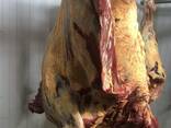 Яловичина, м'ясо яловичини, туши яловичини - фото 2