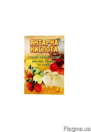 Янтарная кислота "ОВИ" 4г
