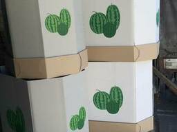 Ящик для арбуза и дыни "Октабины"