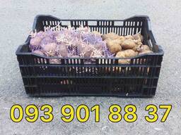 Ящик пластиковий 600×400×220