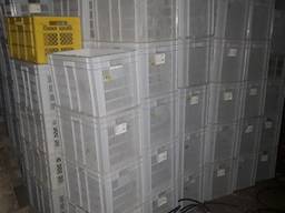 Ящик пластиковый тара для продуктов