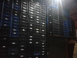 Ящик пластиковый виноградный(для винограда)