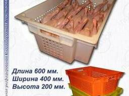 Ящики для кур