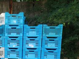 Ящики пластикові (курячі) б/у