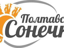 Яйца куриные столовые