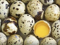 Яйца перепелиные опт и розница. Вся продукция имеет сертифик