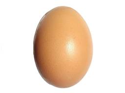 Яйце інкубаційне курине мясо яєчної породи «Адлер сріблястий»