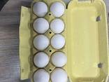 Яйця курині вищого сорту опт - фото 2