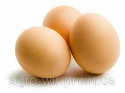 Яйцо инкубационное Диминант