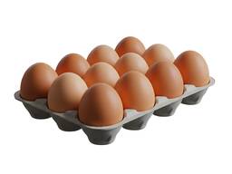 Яйцо куринное, экспорт