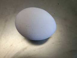 Яйцо куриное свежее 100% 1/2 категории Оптом