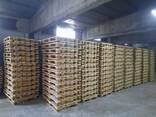 Продаж дерев'яних європіддонів EPAL, UIC, IPPC - фото 6