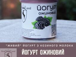 Йогурт козиний фермерський Ожиновий, 350 мл
