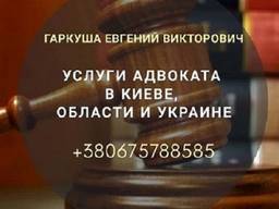 Юридическая помощь в Киеве. Адвокат в Киеве.