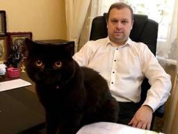 Юридические услуги недорого Киев.