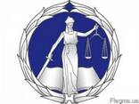Юридичні та бухгалтерські послуги для бізнесу - фото 1
