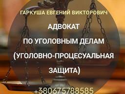 Юрист в Киеве. Адвокатские услуги в Киеве.