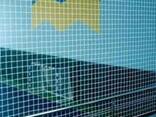 Заградительные сетки белые и цветные для спортивных залов, с