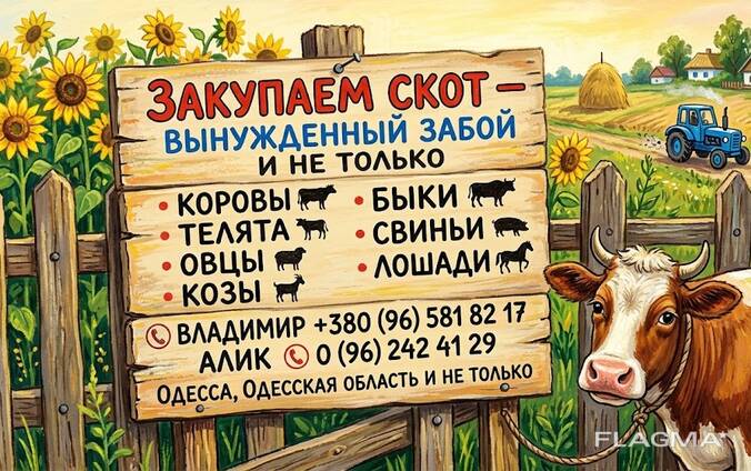 Закуп худоби
