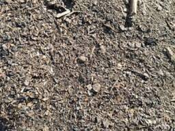 Закупаем деловой сор и отходы зерновых.