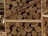 Закупаем дрова колотые на поддонах для Экспорта в Молдавию - фото 8