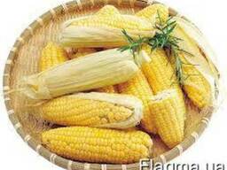 Закупаем кукурузу!