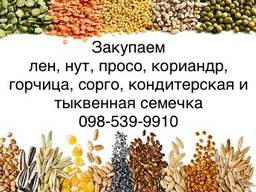 Закупаем все нишевые культуры и кондитерскую семечку!