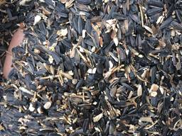 Закупаем Отходы подсолнуха