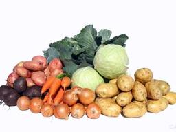 Закупаем овощи борщевого набора