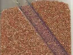 Закупаем сорго, просо, лён, горчицу.