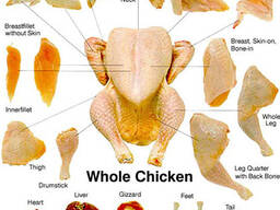 Купуємо - гомілка; чверть; філе велике і дрібне; стегно; нижня частина спинки; шия, крило;