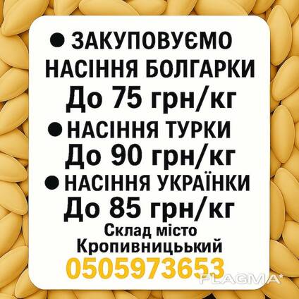 Закупівля гарбузового насіння