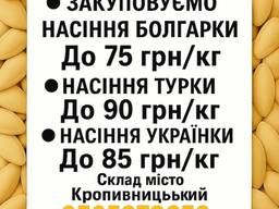 Закупівля гарбузового насіння