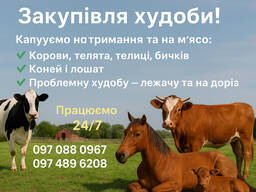 Закупівля худоби