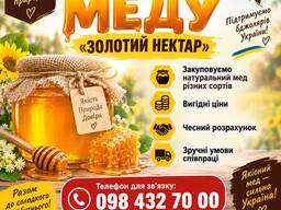 Закупівля меду від пасічників