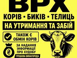 Закупівля ВРХ