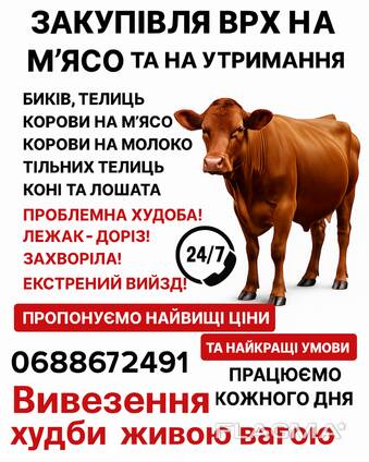 Закупівля ВРХ на м’ясо та на утримання
