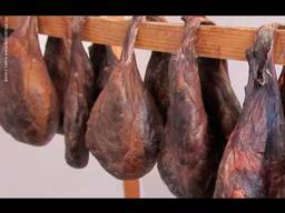 Струя бобра настойка