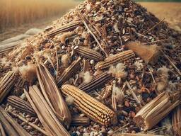 Закупка зерновідходів, некондиції (соняшник, соя, кукурудза, пшениця, ячмінь, просо)